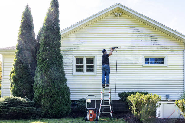 Best House Exterior Washing  in Teutopolis, IL